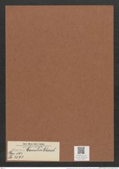 Eunotia camelus Ehrenb. (de-Toni-Nr.: Genus 104, Species 3173) Zeichnungen Sammlung Grunow Mappe 03417 (Herbarium_W_Grunow_drawings_Folder_03417)
